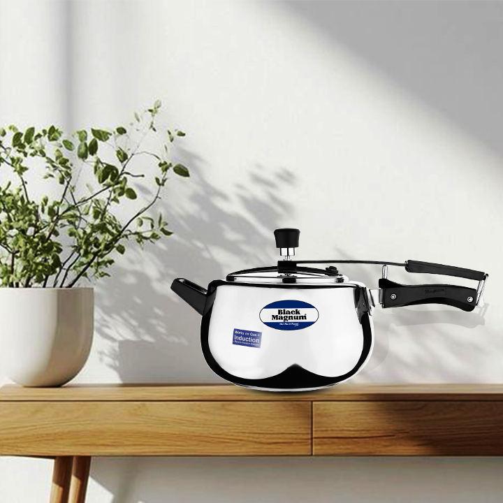 Stainless Steel Handi Pressure Cooker